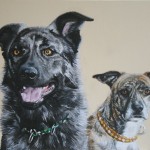 Hundeportrait Doppelportrait